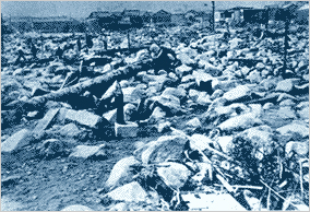 阪急線北側を埋め尽した巨石と流木（神戸市灘区篠原本町,中町・都賀川）