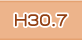 H30.07