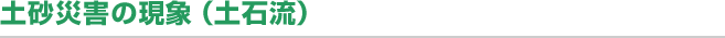 土砂災害の現象（土石流）