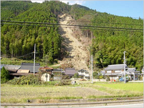 図：平成16年台風23号　風倒木被害