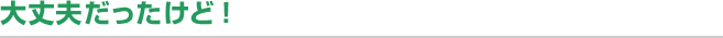 大丈夫だったけど！