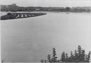 別府川の氾濫による南大野地区水田一帯の浸水（加古川市南大野付近）