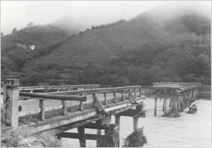 流木等のため堰上げられた後橋脚が流失し落橋した大薮橋（養父市[旧養父町]大薮付近）