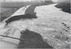 集中豪雨により柏原川堤防洗掘（丹波市[旧柏原町]沖田付近）