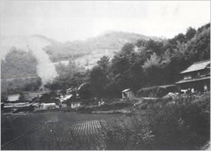 大雨のため真木川右岸の斜面が崩落した（赤穂市鷏和付近） 