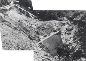 左岸の斜面が崩壊道路が不通となる（宝塚市川面付近）