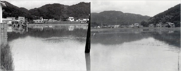 馬路川の内水で民家、田、畑が一面冠水した（たつの市[旧揖保川町]片島付近）