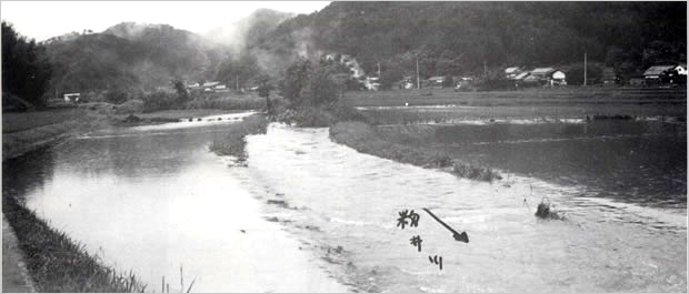 加古川支川篠山川支川籾井川の氾濫による水田への浸水状況（篠山市[旧篠山町]西野々付近）