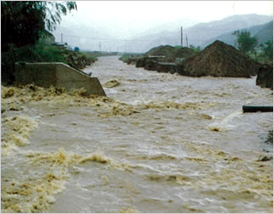 真南条川のようす(篠山市[旧丹南町])