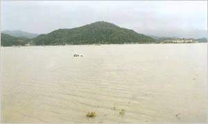 水没した豊岡市新田地区(豊岡市新田小学校付近)