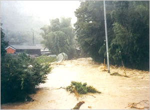 岩屋谷川のようす(丹波市[旧山南町]) 