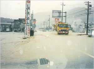 真南条川のようす(篠山市[旧丹南町])