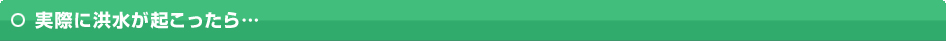 実際に洪水が起こったら…