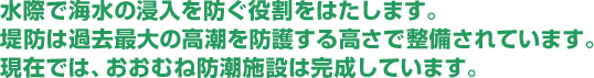 水際で海水の浸入を防ぐ役割をはたします。
堤防は過去最大の高潮を防護する高さで整備されています。
現在では、おおむね防潮施設は完成しています。