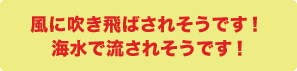 風に吹き飛ばされそうです！ 
    海水で流されそうです！